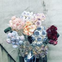 乾燥小美眉_小大理花_蝴蝶花 索拉