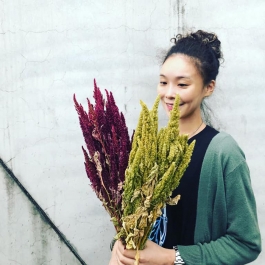 乾燥柔麗斯 紅色綠色