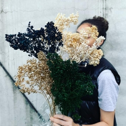 乾燥九芎果_墨_漂白_金色深藍